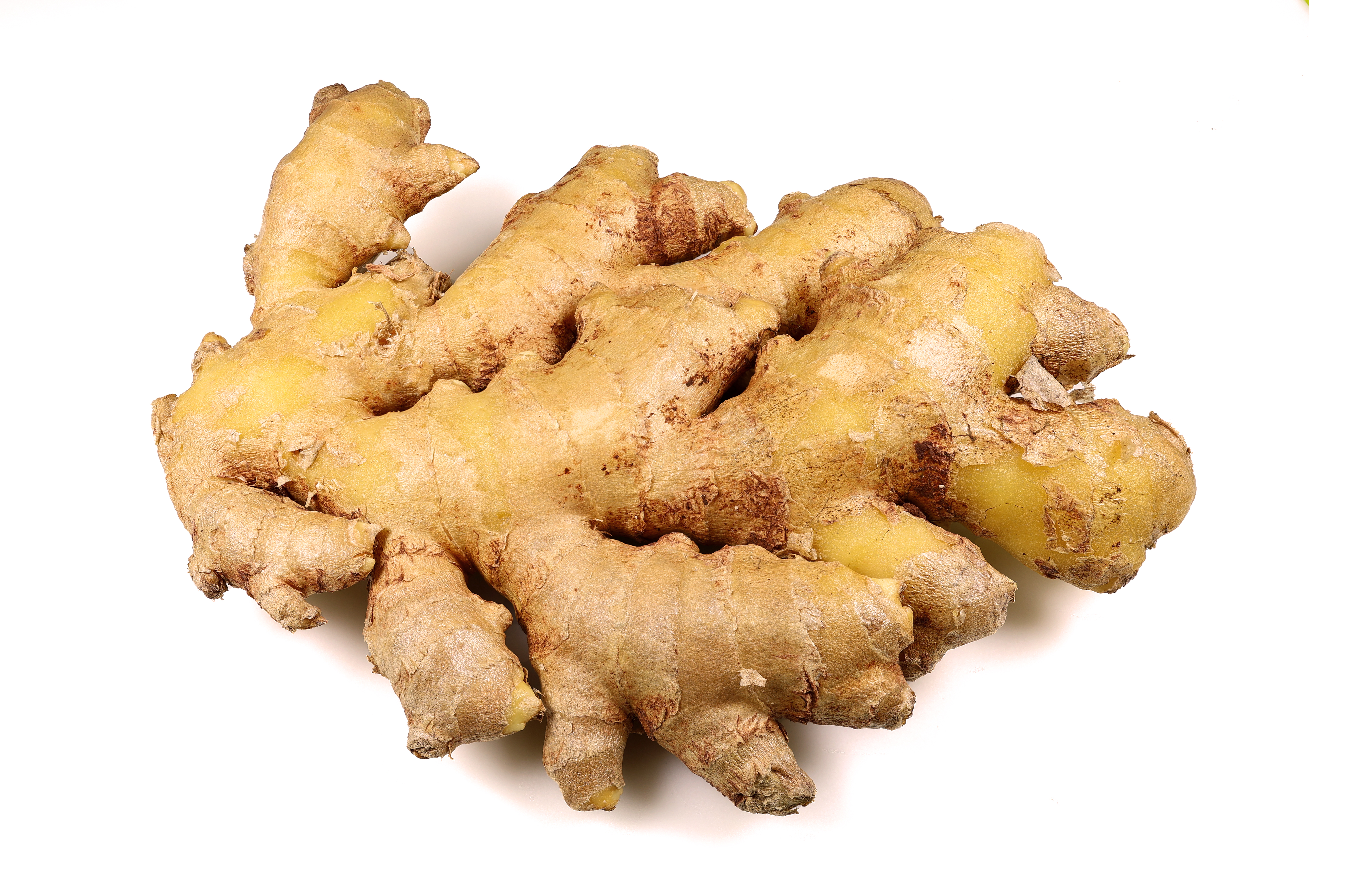 A whole fresh ginger rhizome with pale skin and a cut yellow face.